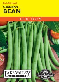 Bean (Bush) Contender - Item #340