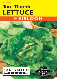 Lettuce Tom Thumb - Item #345