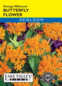Butterfly Flower Orange Milkweed - Item #3459