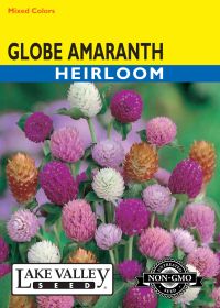 Globe Amaranth Mixed Colors - Item #3469