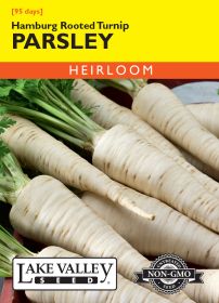 Parsley Hamburg Rooted Turnip - Item #347