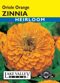 Zinnia Oriole Orange - Item #3476