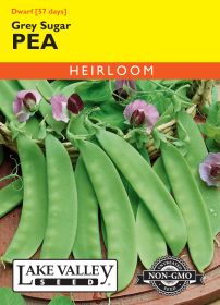 Pea Dwarf Grey Sugar (Bush) - Item #348