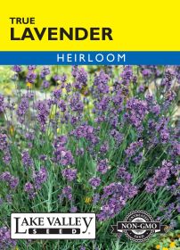 Lavender True - Item #3510