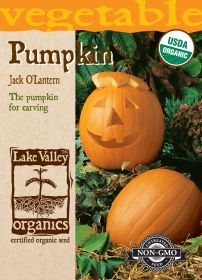Pumpkin Jack O'Lantern - Item #3556