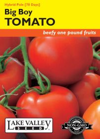 Tomato (Pole) Big Boy Hybrid - Item #357