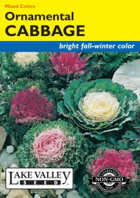 Cabbage Ornamental Mixed Colors - Item #371