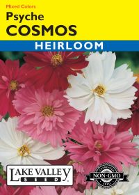 Cosmos Psyche Mixed Colors - Item #376