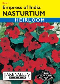 Nasturtium Empress of India - Item #386