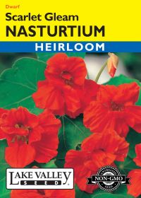 Nasturtium Scarlet Gleam - Item #388