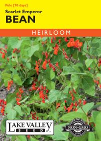 Bean (Pole) Scarlet Emperor - Item #39