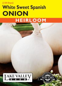 Onion White Sweet Spanish (Long Day) - Item #3933
