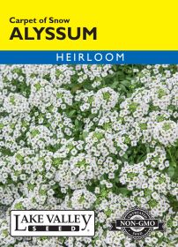 Alyssum Carpet of Snow - Item #4