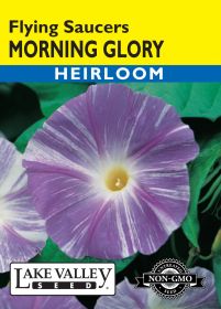 Morning Glory Flying Saucers - Item #402
