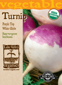 Turnip Purple Top White Globe - Item #4068