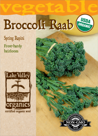 Broccoli Raab Spring (Rapini) - Item #4130