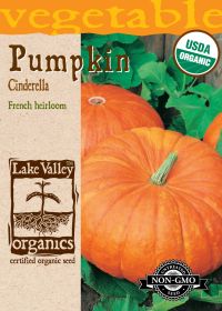 Pumpkin Cinderella - Item #4138