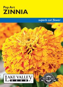 Zinnia Pop Art - Item #4151