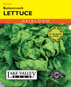Lettuce Buttercrunch - Item #4185