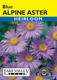 Aster Alpine Blue - Item #423