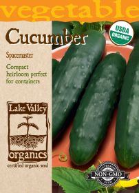 Cucumber Spacemaster - Item #4282