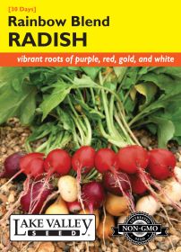 Radish Rainbow Blend - Item #4288