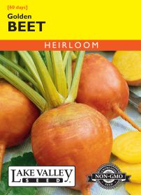 Beet Golden - Item #43