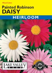 Daisy Painted Robinson Mixed Colors - Item #433