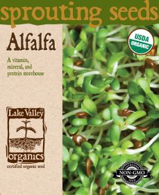 Alfalfa - Item #4369