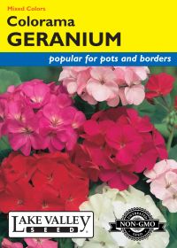 Geranium Colorama Mixed Colors - Item #437
