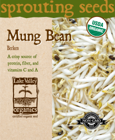Mung Bean Berken - Item #4371