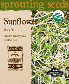 Sunflower Black Oil- Item #4377