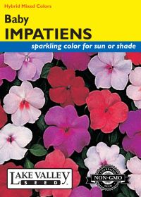 Impatiens Baby Mixed Colors Hybrid - Item #445