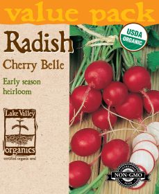 Radish Cherry Belle - Item #4458