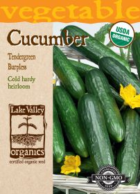 Cucumber Tendergreen Burpless - Item #4480