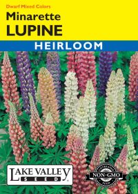 Lupine Minarette Dwarf Mixed Colors - Item #450