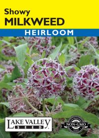 Milkweed Showy (Western Native) - Item #4533