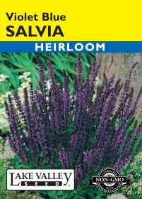 Salvia Violet-Blue - Item #459