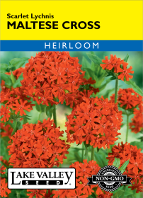 Maltese Cross - Item #4623