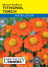 Tithonia Torch (Mexican Sunflower) - Item #467