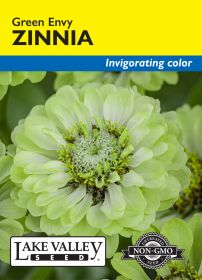 Zinnia Green Envy - Item #4682
