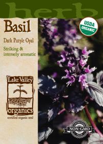 Basil Purple Dark Opal - Item #4684
