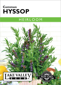 Hyssop - Item #4686
