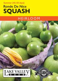Squash (Summer) Ronde De Nice - Item #4689