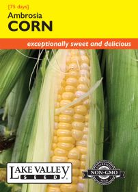 Corn Sweet Ambrosia - Item #4693