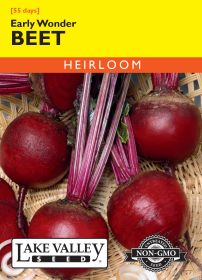 Beet Early Wonder - Item #47