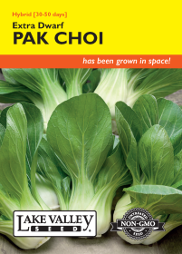 Pak Choi Extra Dwarf - Item #4719