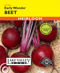 Beet Early Wonder - Item #477
