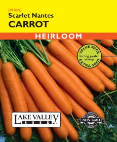 Carrot Scarlet Nantes - Item #478