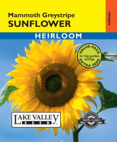 Sunflower Mammoth Greystripe - Item #499